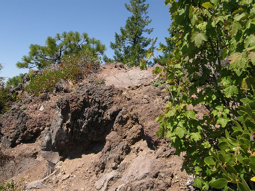 Moon Point Lookout site 2007
