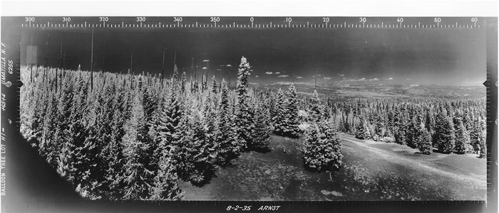 Balloon Tree Lookout panoramic 8-2-1935