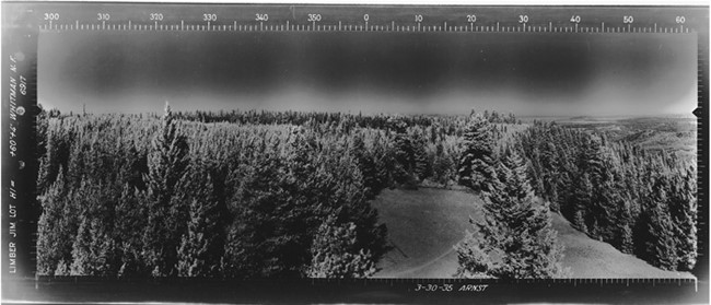 Limber Jim Lookout panoramic 3-30-1935