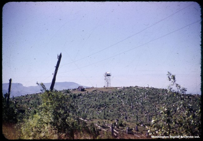 Abernathy Mountain Lookout 1953