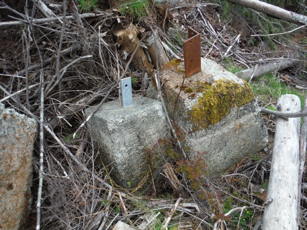 Chester Ridge Lookout Site