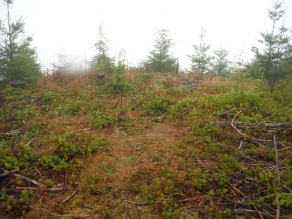 Gobbler Knob Lookout Site