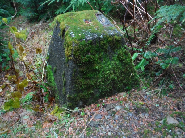 Higley Peak Lookout Site