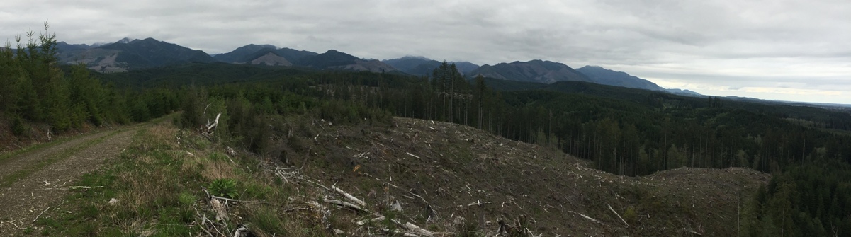 Kelly Lookout Site view