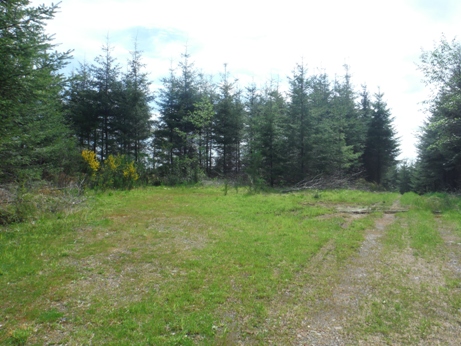 Prices Peak Lookout Site