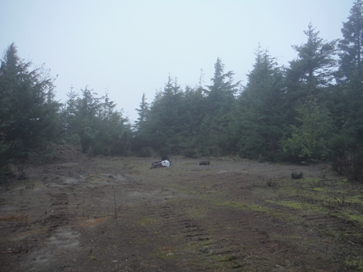 Sekiu Mountain Lookout Site