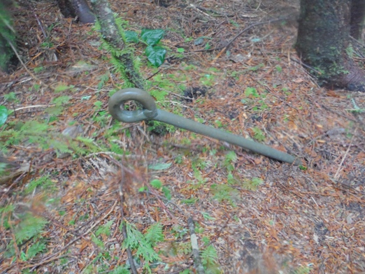 Sekiu Mountain Lookout Site