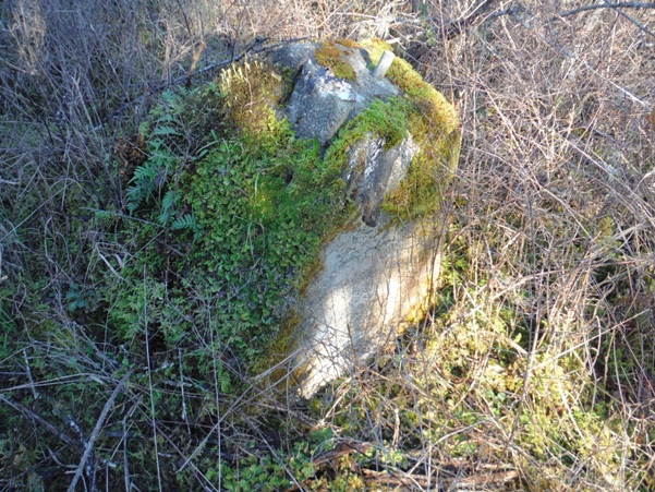 Striped Peak Lookout Site