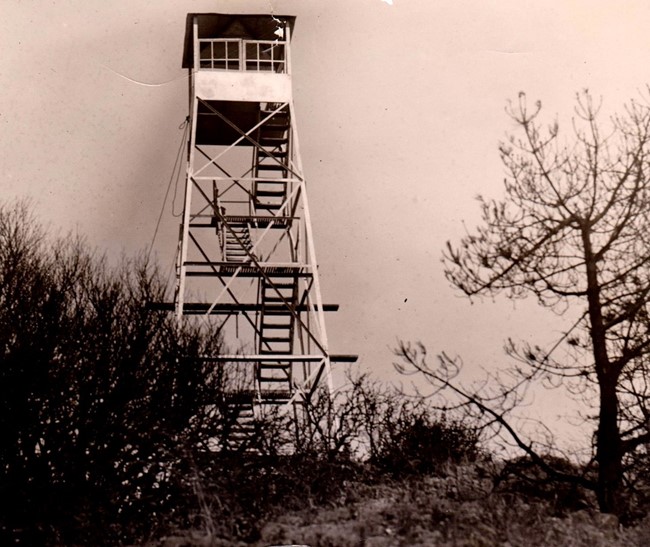 Grizzly Peak Lookout - 1924