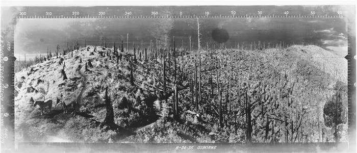 Kloshe Nanitch Lookout panorama (N)