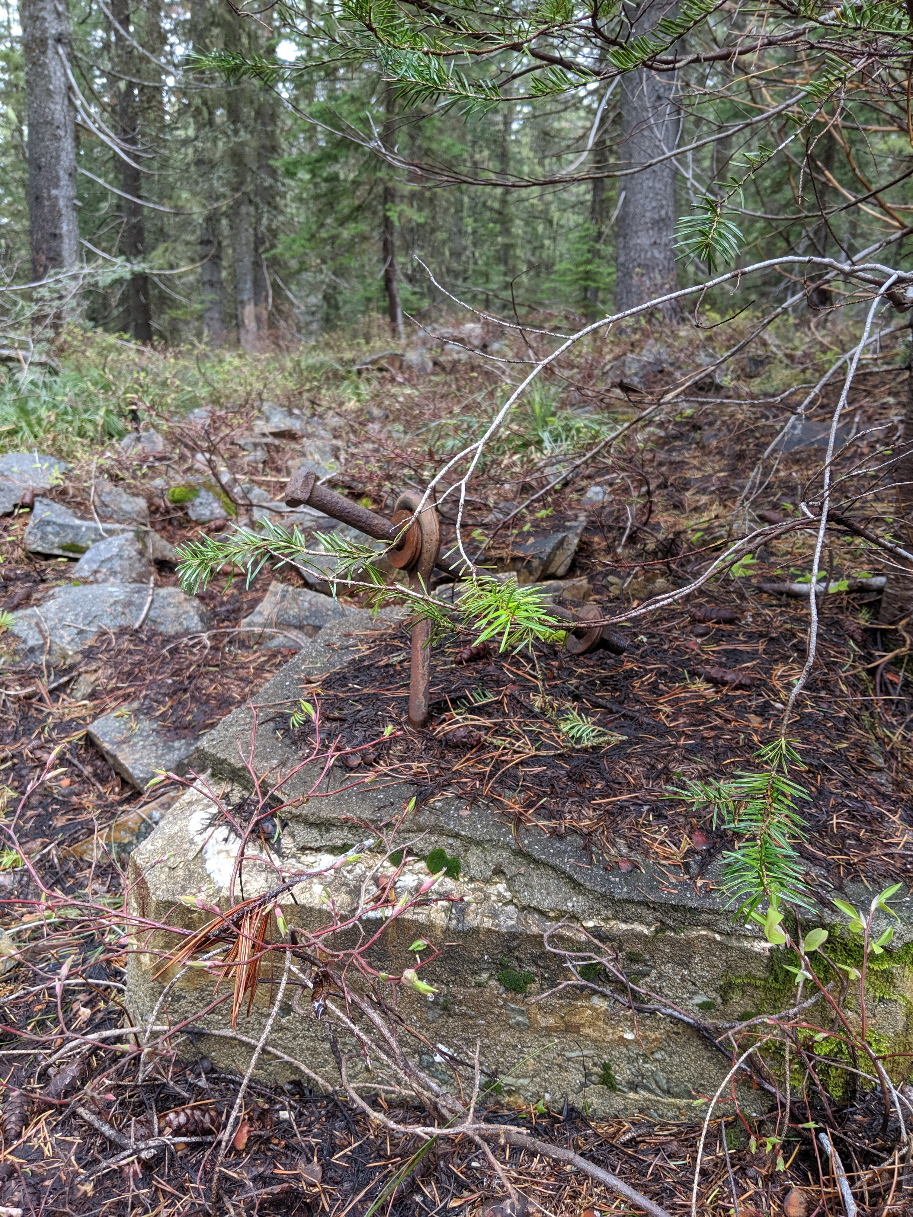 Remains of tower leg