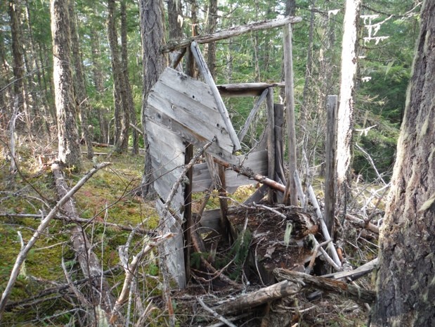 Roland Point Lookout outhouse remains