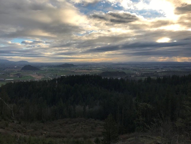 Samish Lookout site