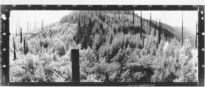 Sulphur Point Lookout panoramic 9-11-1935 (SW)