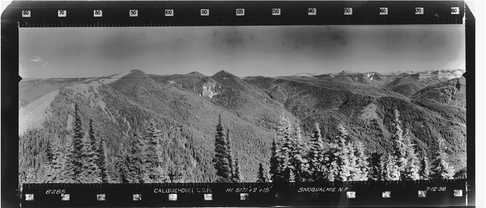 Colquhoun Mountain Lookout panoramic 7-12-38 (SE)