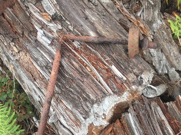 Hunters Cabin Lookout site