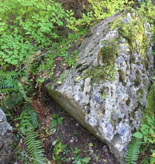 Ladd Lookout site - footing