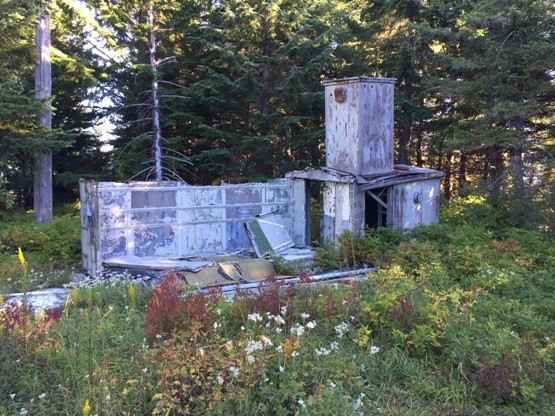 Ladd Lookout site