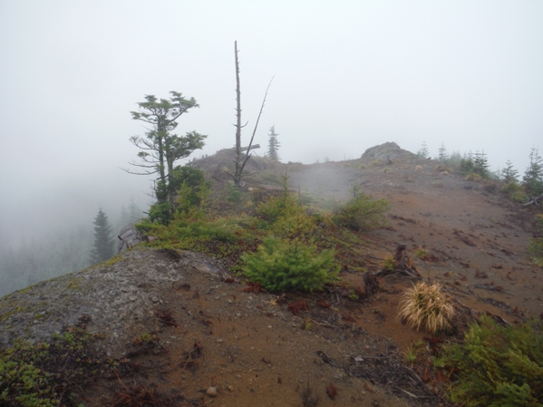 Lookout Point Lookout site
