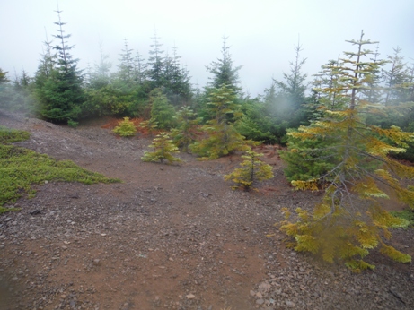 Lookout Point Lookout site