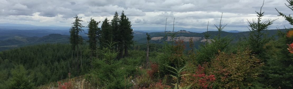 Lucas Creek Lookout site