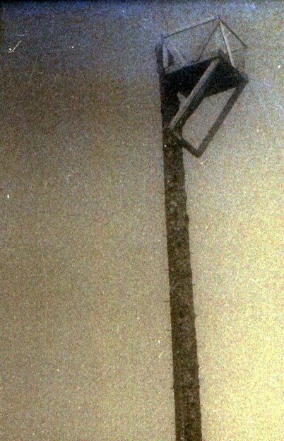 McDonald Mountain Lookout - spar tree