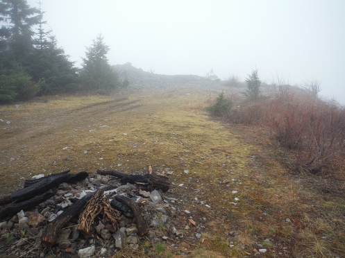Newaukum Lookout site 2015
