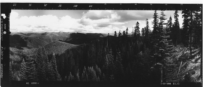 Newaukum Lookout panoramic 7-30-1934 (SE)