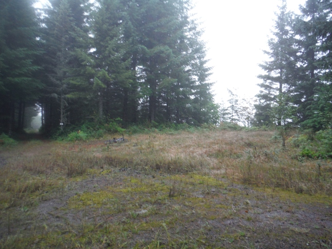 West Fork Tilton Lookout site