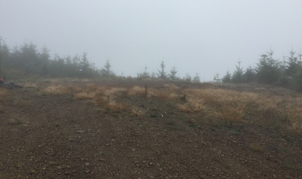 Windy Knob Lookout site