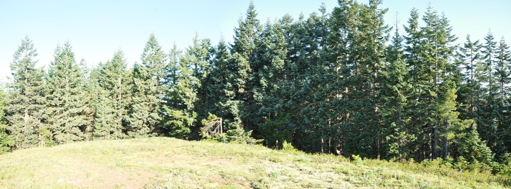 Big Huckleberry Lookout site