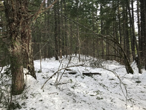 Bunker Hill Lookout site