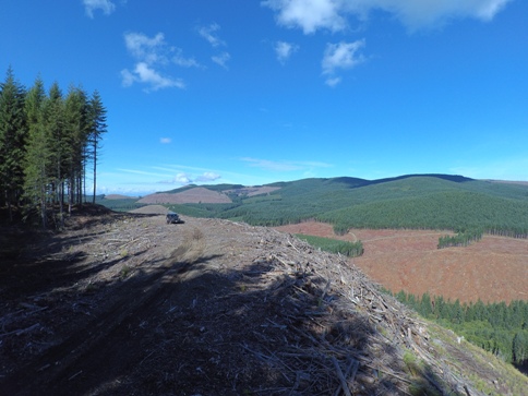 Cascade Creek Lookout site