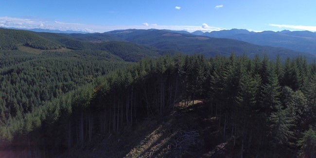 Cascade Creek Lookout site - east view