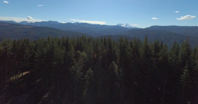 Cascade Creek Lookout site - south view