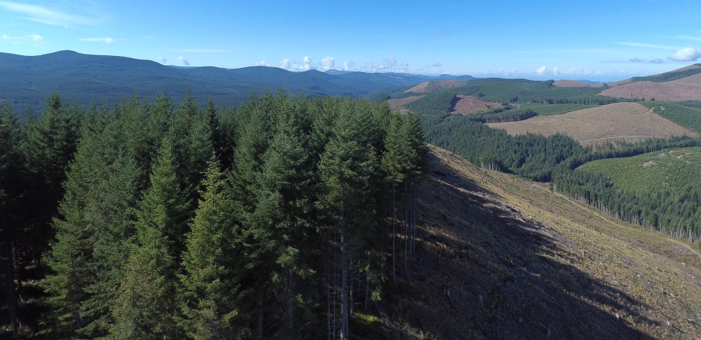 Cascade Creek Lookout site - west view