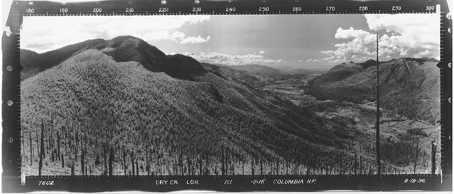 Dry Creek Lookout panoramic 8-19-1936 (SW)