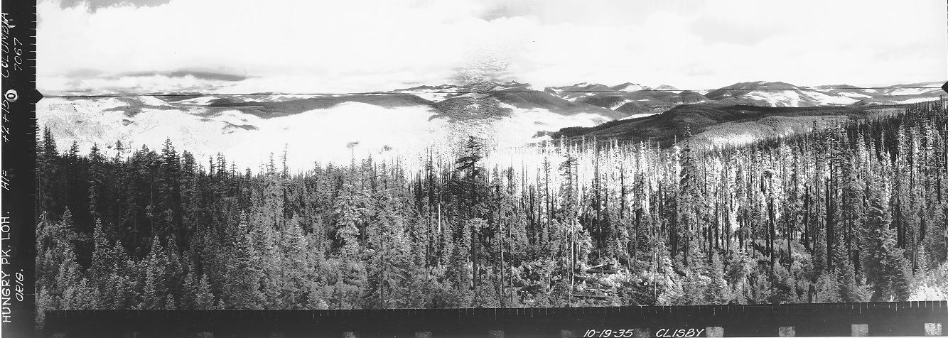 Hungry Peak Lookout panoramic 10-19-1935 (N)