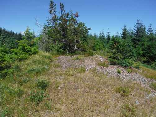 Summit Guard Station Lookout site