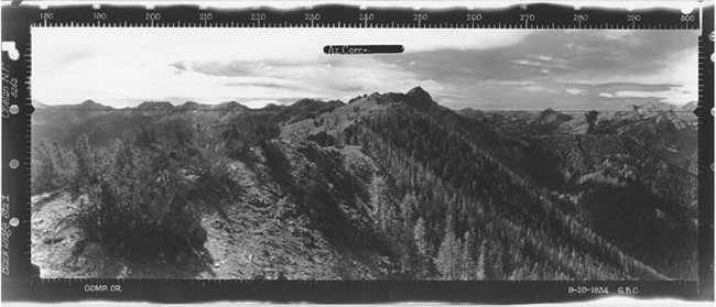 Black Ridge Lookout panoramic 9-20-1934 (SW) Station 1