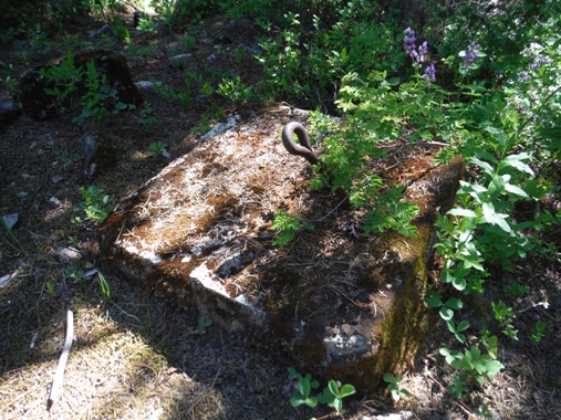 Fish Lake Lookout site