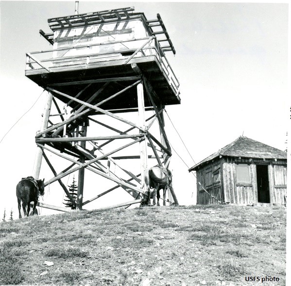 Polallie Mountain Lookout 1965
