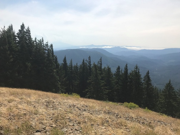 Monte Cristo Lookout site