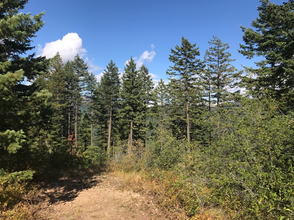 Kings Mountain Lookout site