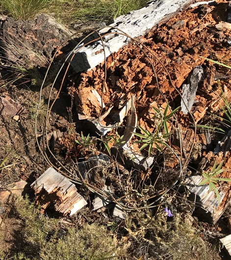 Ojibway Knoll Lookout site