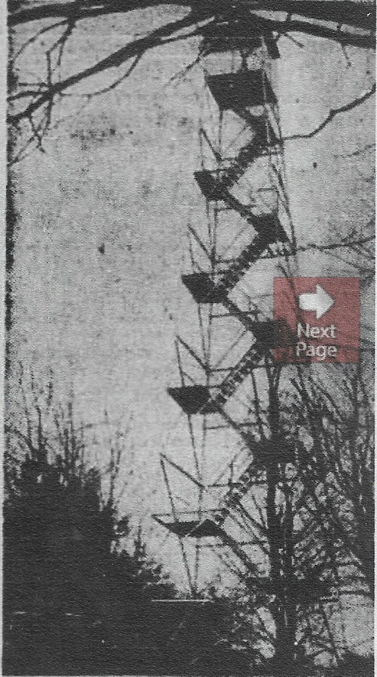 Round Knob Fire Tower