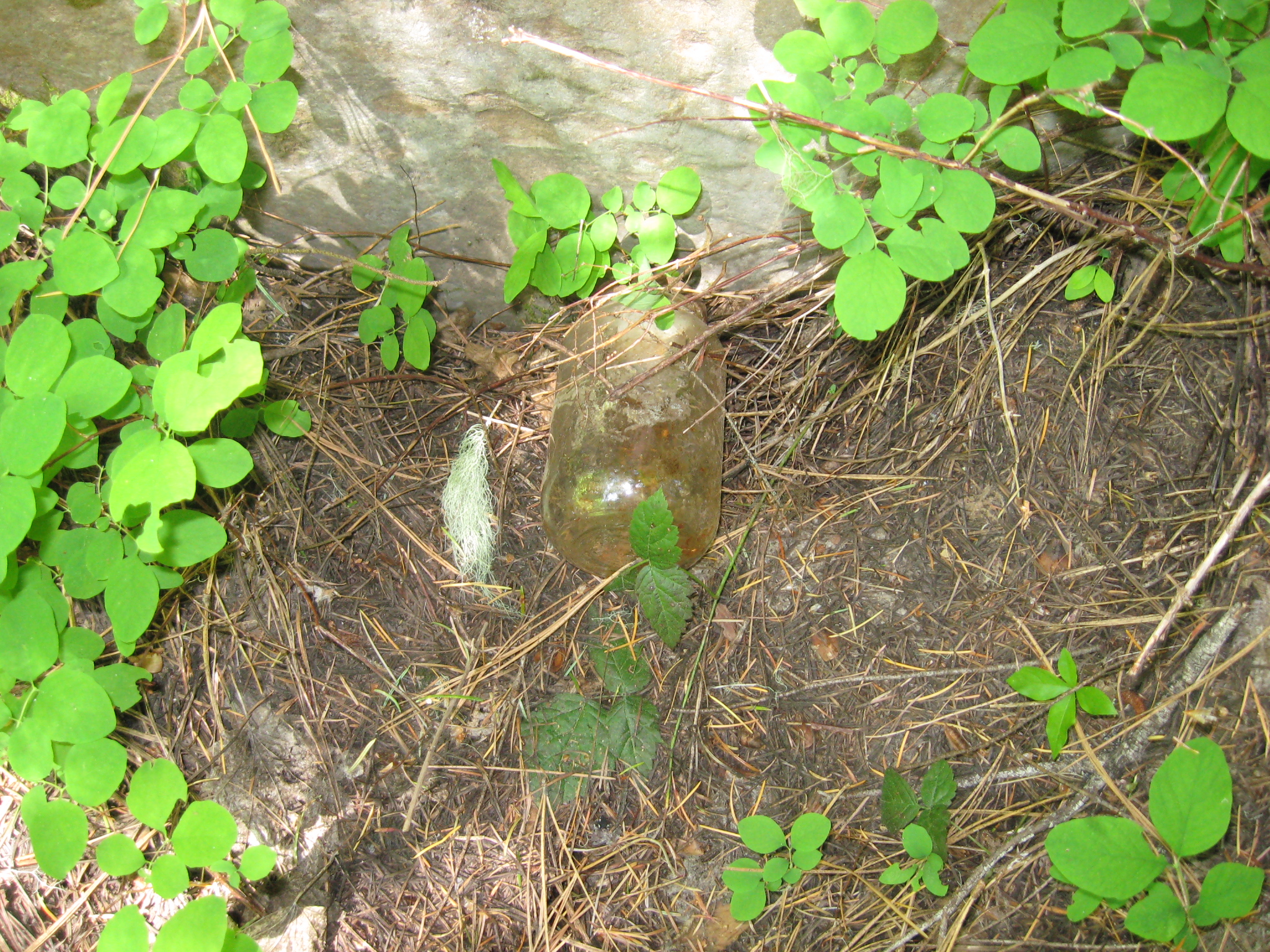 Boulder Point Lookout site