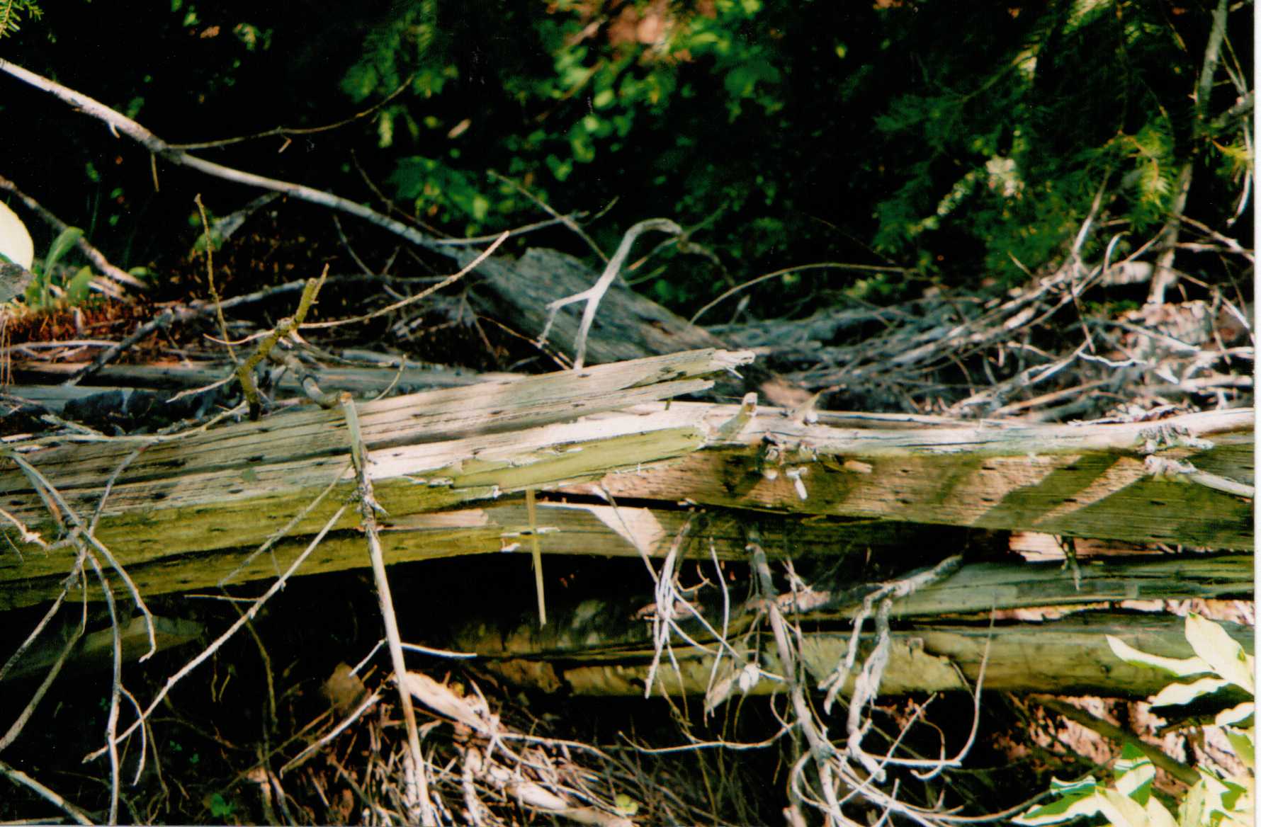Gauldy Mountain Lookout Site 2009