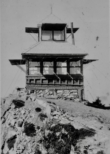 Mount Higgins Lookout 1931