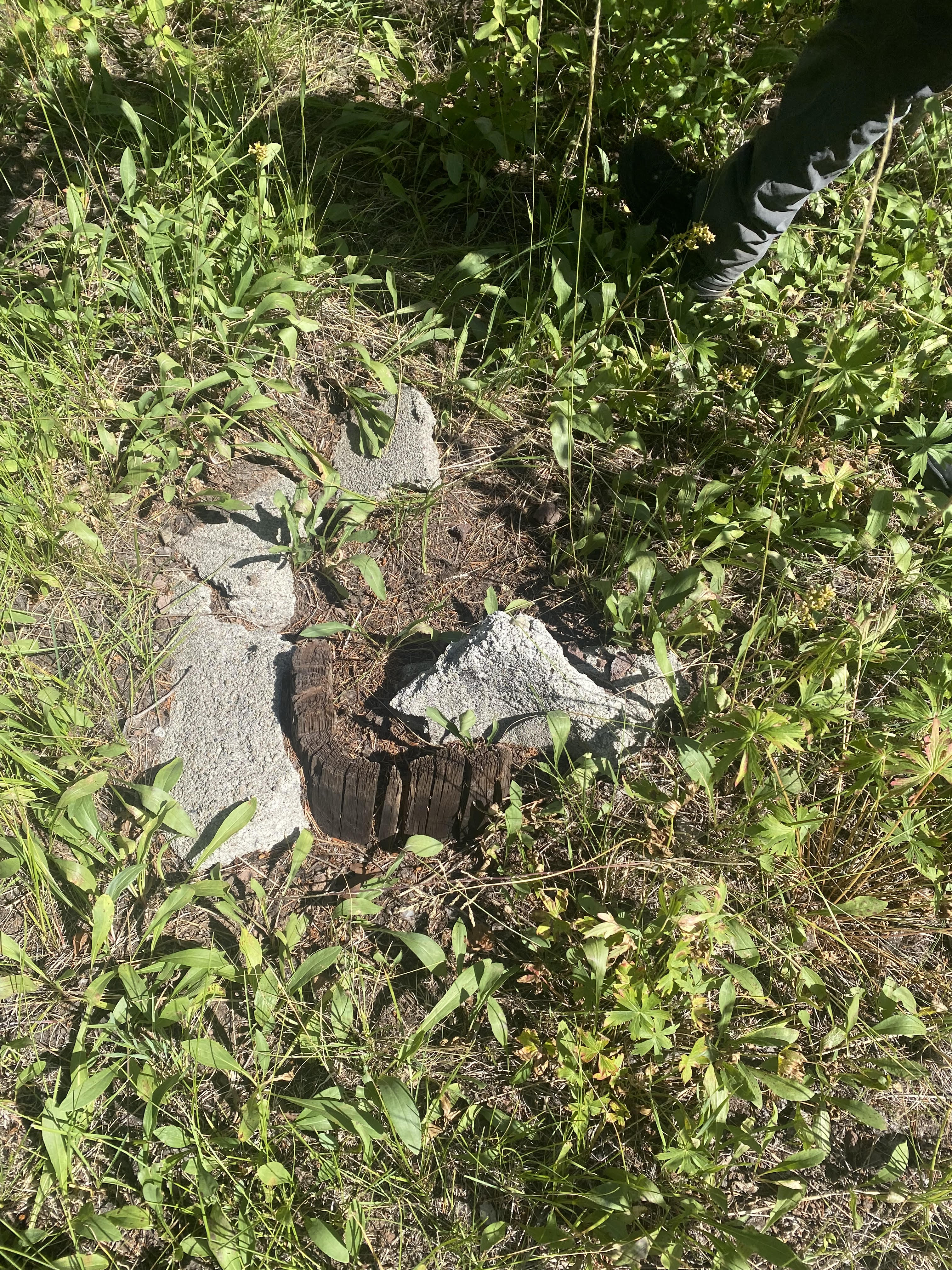 Footing remains - 2021